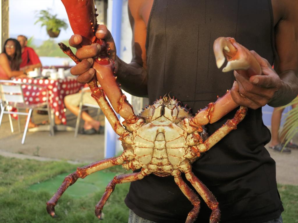 Casa Congo & Casa Rayo Verde - Restaurante - Galeria De Arte Portobelo Eksteriør bilde